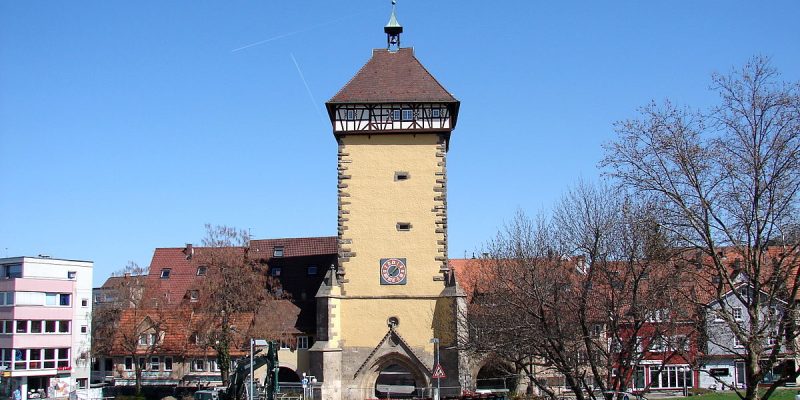 Tulpenblüte
