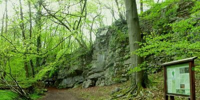 Klauserwäldchen/Frankenwäldchen