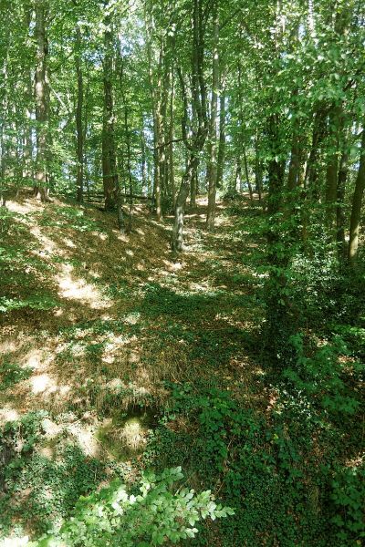Laub- und Auenwaldgebiet bei Herzogenrath westlich Pannesheide im Amstelbachtal