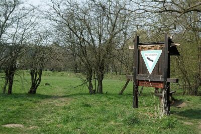 Münsterbachtal zwischen Hamm und Haumühle