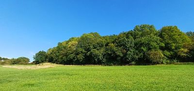 Ströhbend und Wäldchen nordöstlich von Hahn