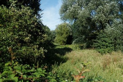 Westlich Bank