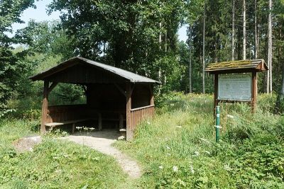 Würselener Wald
