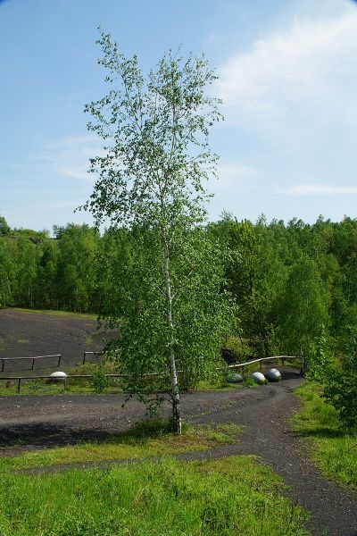 Wurmtal südlich Herzogenrath, einschließlich Meisbach, Würselen