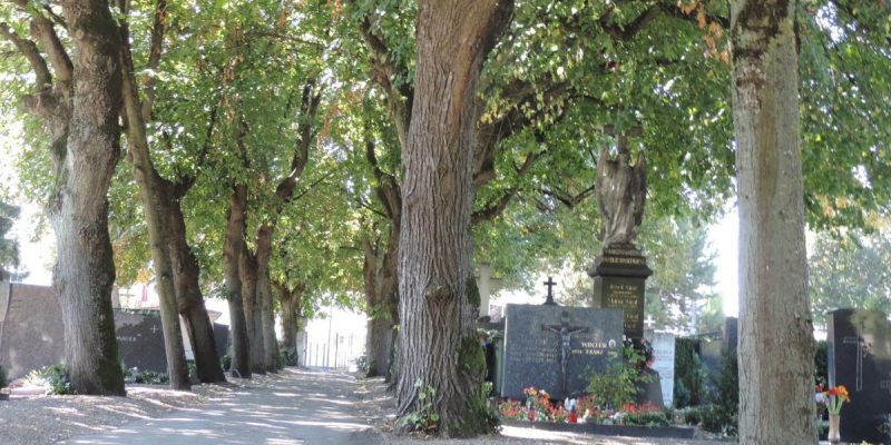 Alter Ostfriedhof (Ost 1)