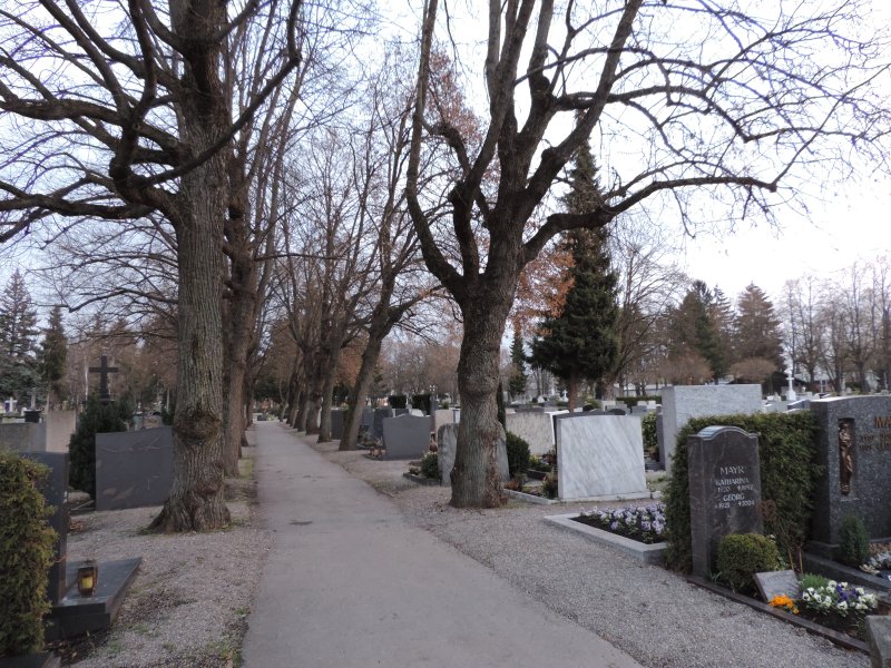Alter Ostfriedhof