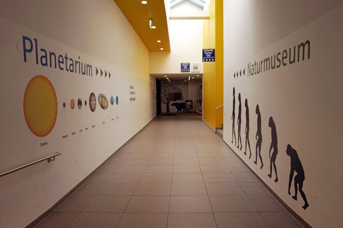 Naturmuseum