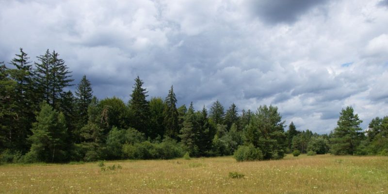 Schießplatzheide