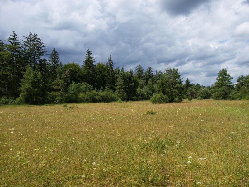 Schießplatzheide