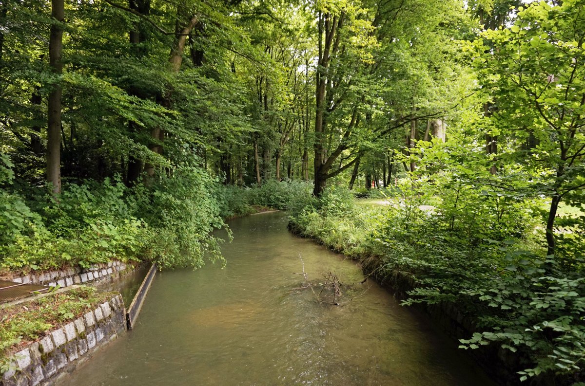 Schiller-Linde;Schiller-Runde