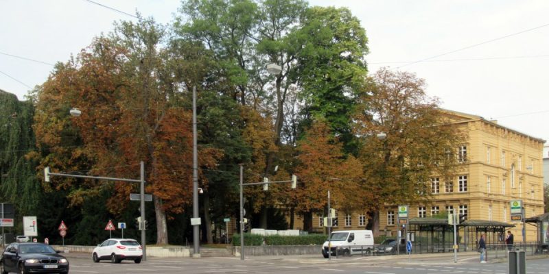 Stadtpflegeranger