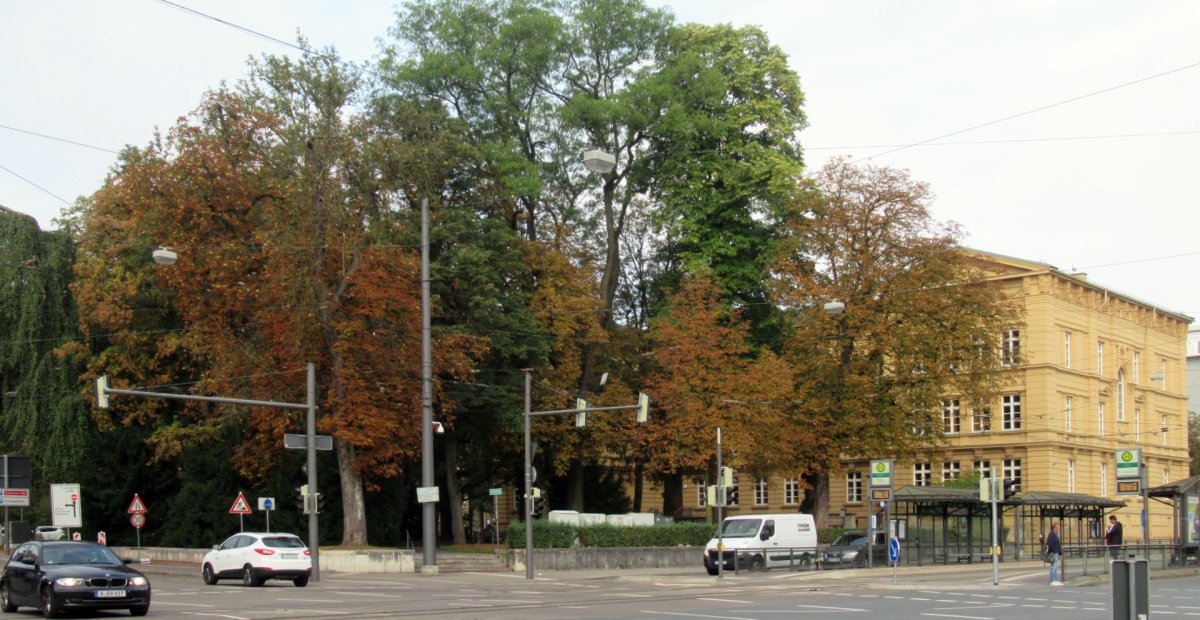 Stadtpflegeranger
