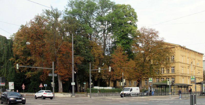 Stadtpflegeranger