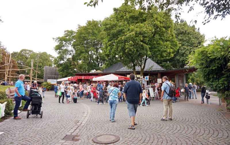 Streifenhyänen