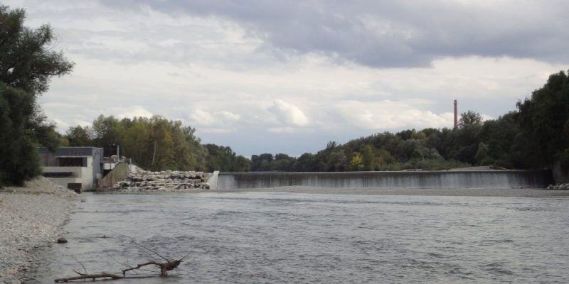 Wolfzahnauwehr