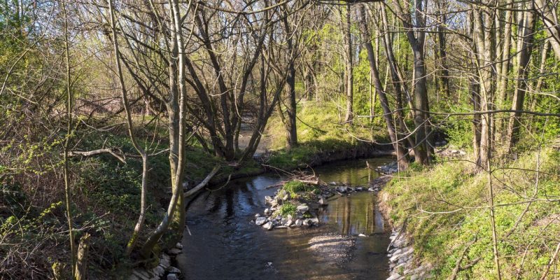 Erlenbach
