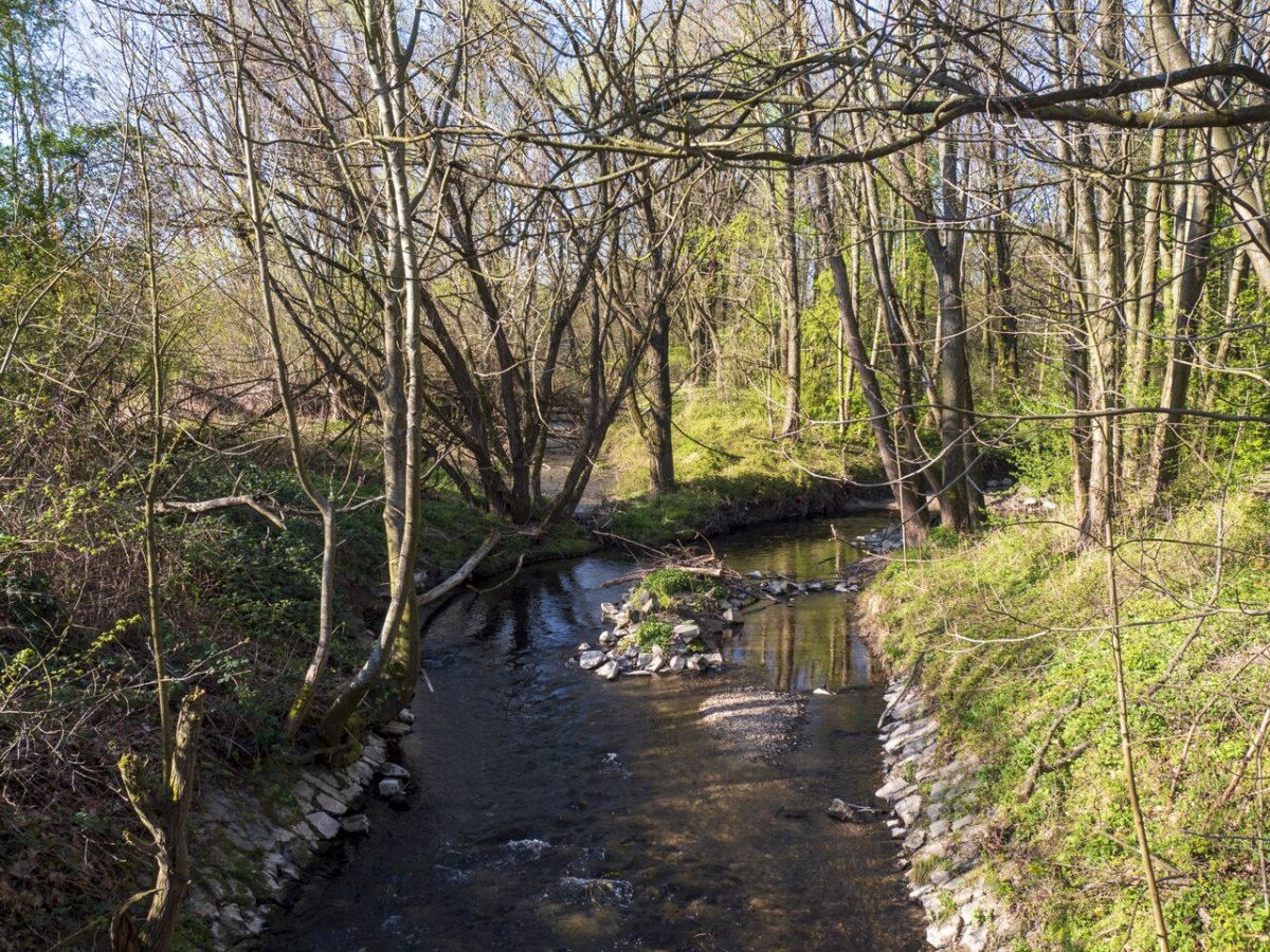 Erlenbach