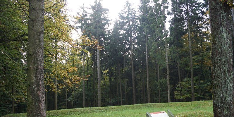 Kleinkastell Heidenstock