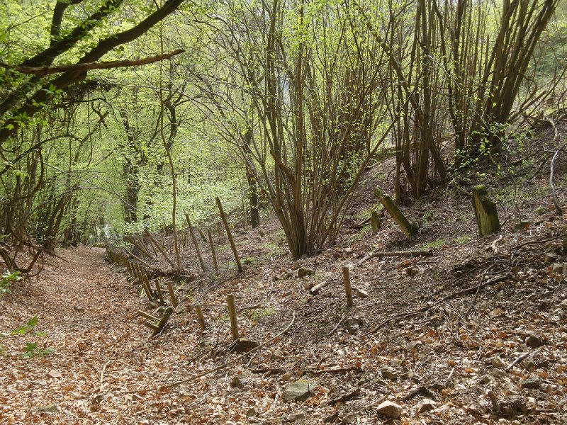 Alter jüdischer Friedhof