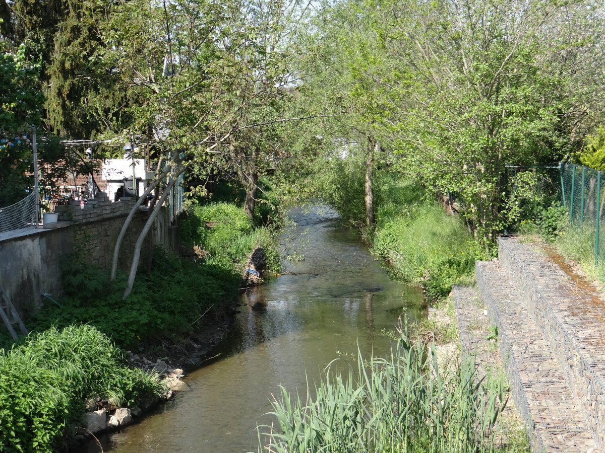 Appelbach