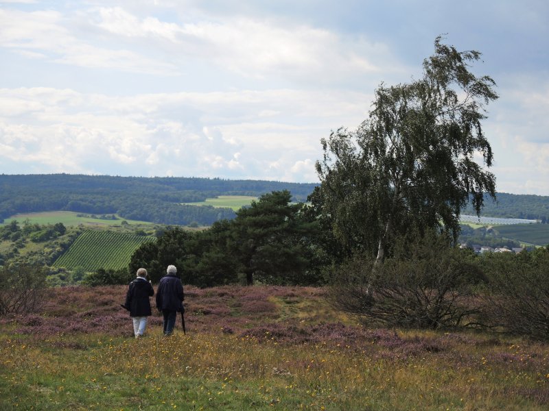 Neu-Bamberger-Heide