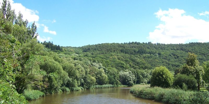 Naturschutzgebiet Gans und Rheingrafenstein
