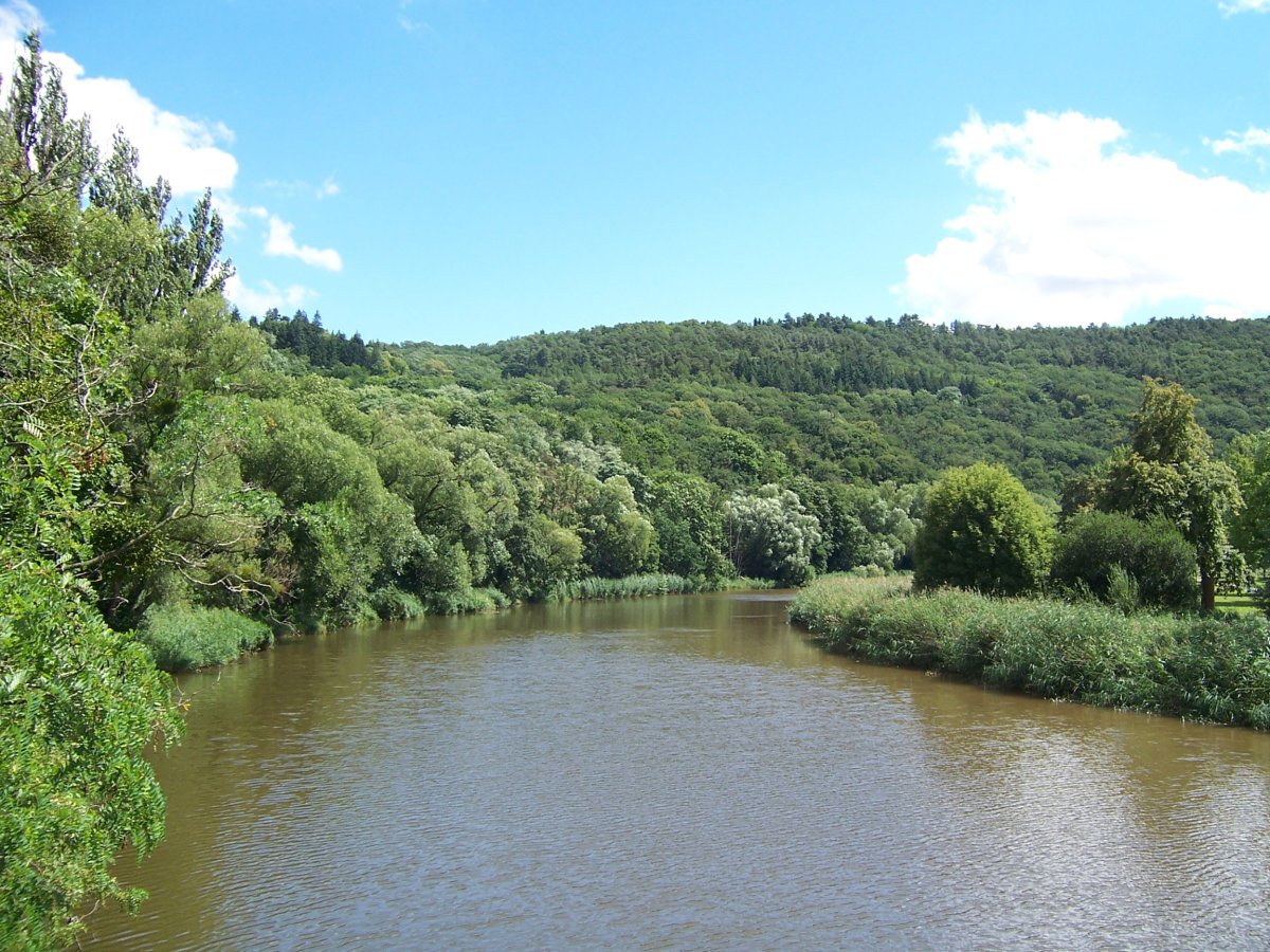 Naturschutzgebiet Gans und Rheingrafenstein