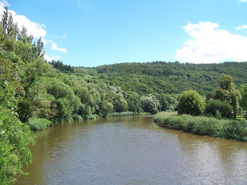 Naturschutzgebiet Gans und Rheingrafenstein