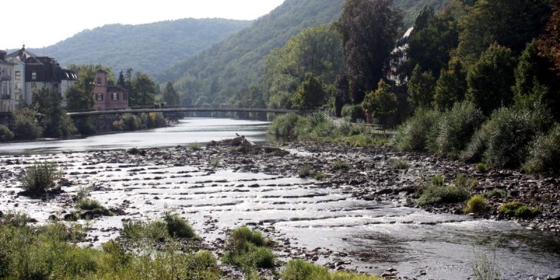 Naturschutzgebiet Kurpark Bad Kreuznach