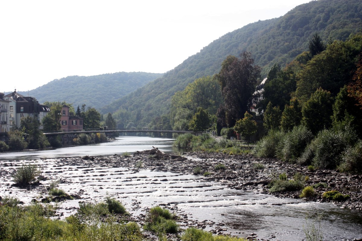 Naturschutzgebiet Kurpark Bad Kreuznach