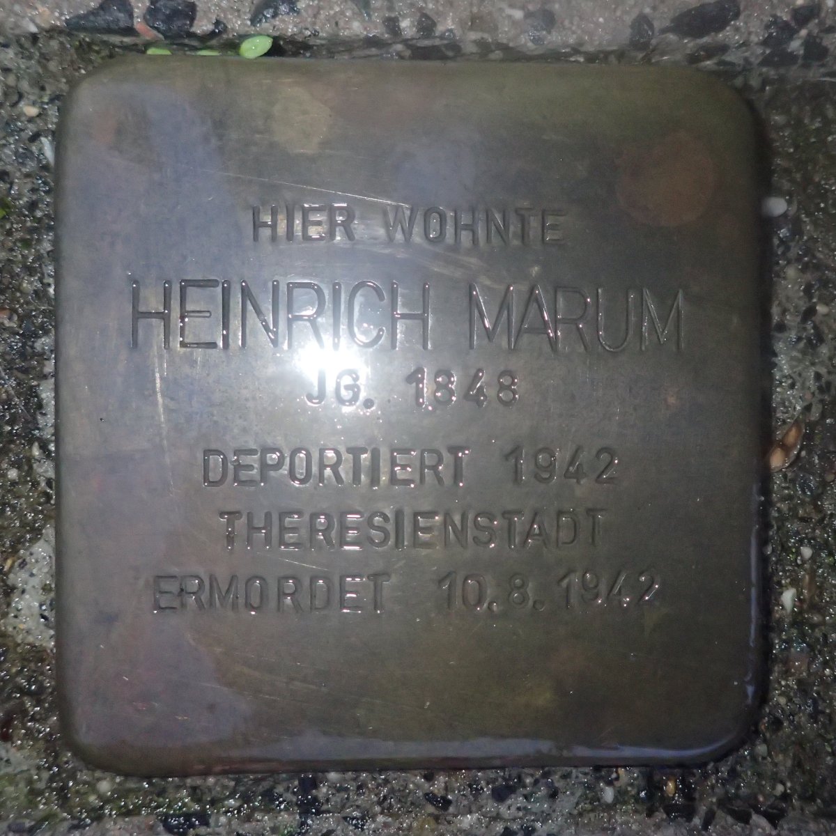 Heinrich Marum