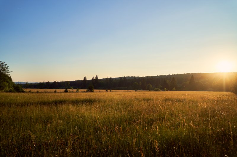 Naturschutzgebiet Landwiesen