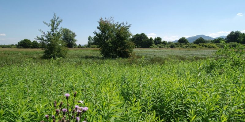 Bruchgraben