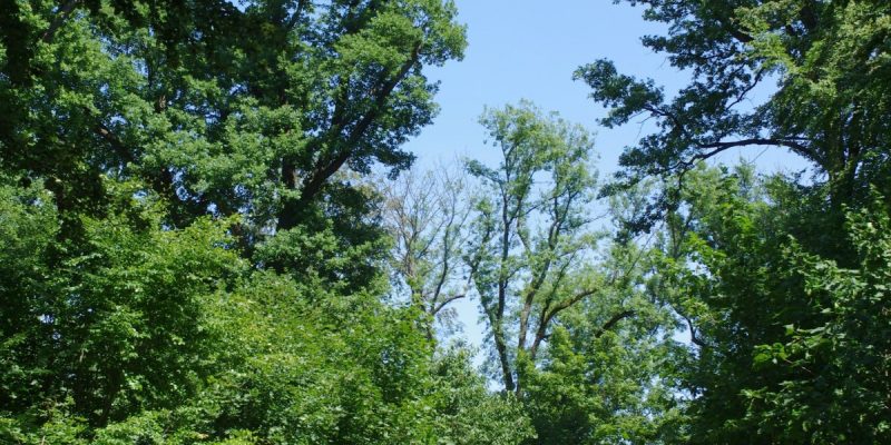 Markbach und Jagdhäuser Wald