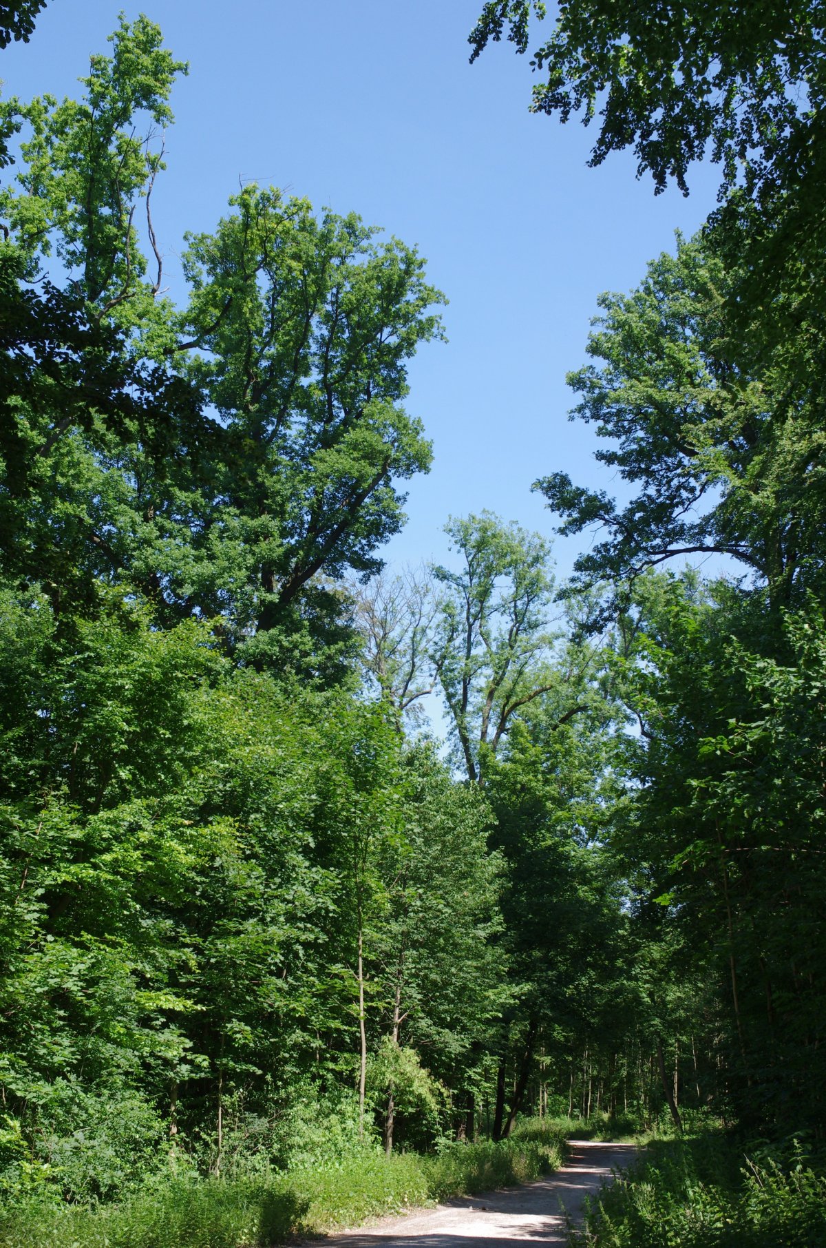Markbach und Jagdhäuser Wald