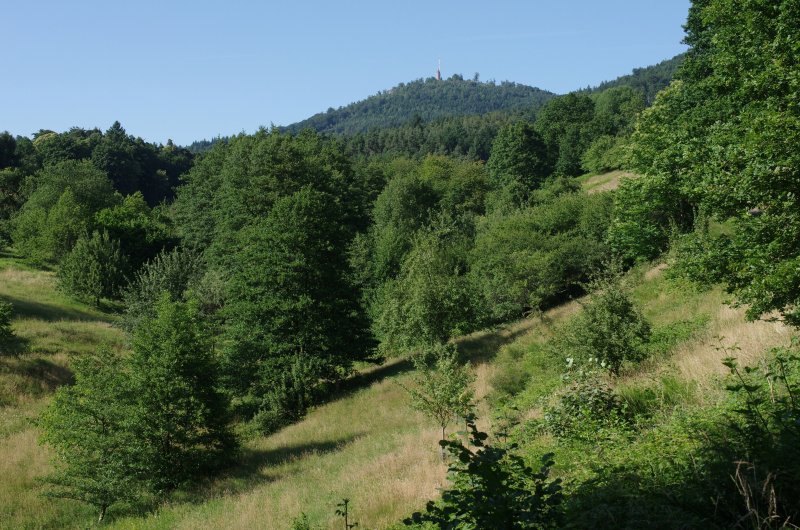 Sauersbosch, Pfrimmersbach- und Märzenbachtal