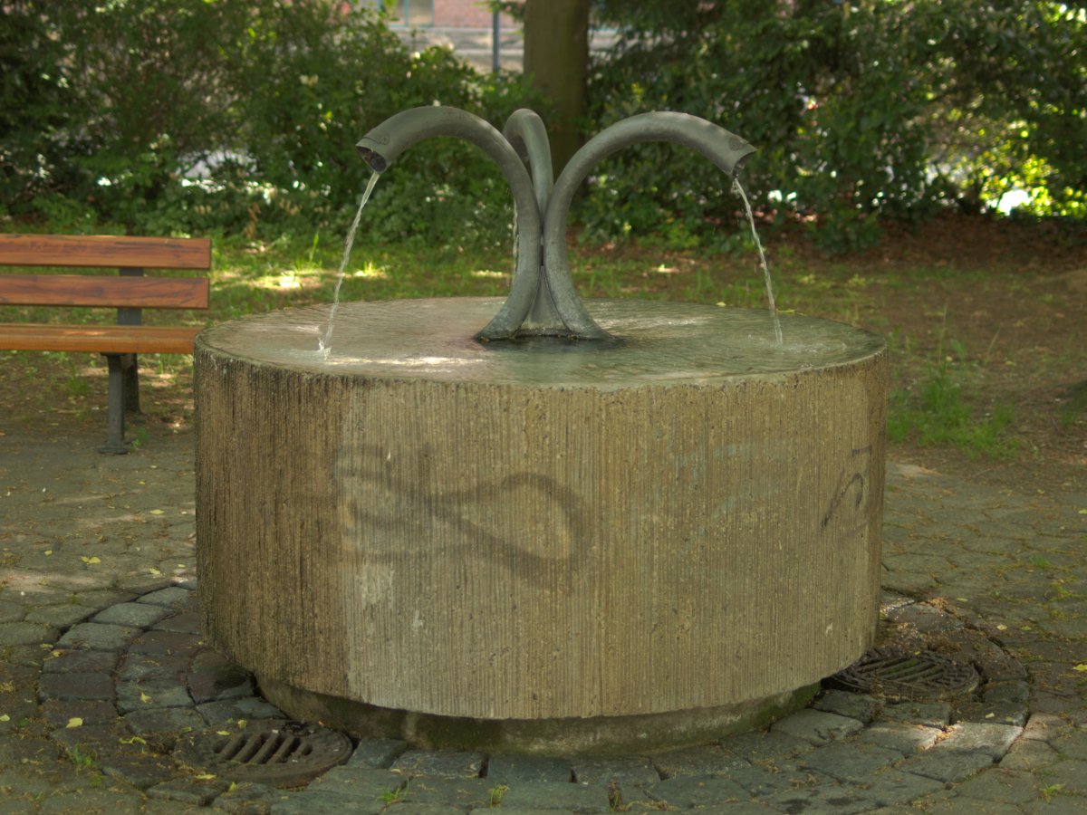 Dammwäldchen