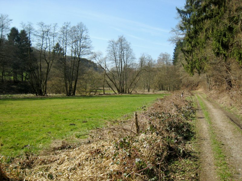 Dürschbachtal