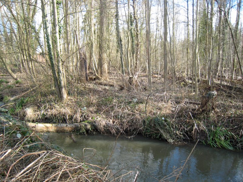 Kradepohlsmühle