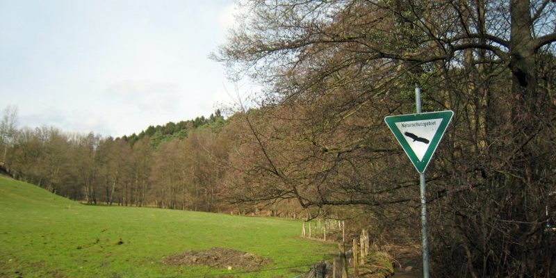 Krebsbachtal