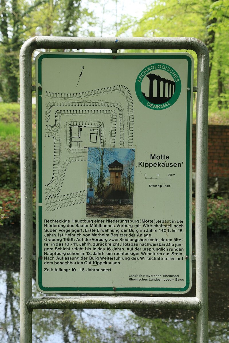 Motte Kippekausen