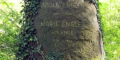 Adolf Engler