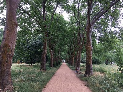 Anita-Berber-Park