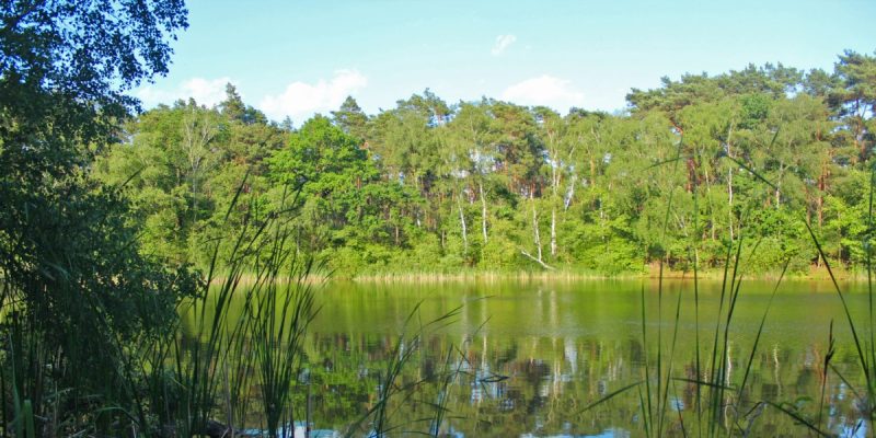 Aussichtspunkt Krumme Laake