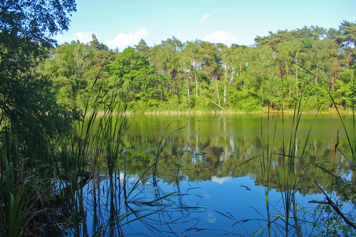 Aussichtspunkt Krumme Laake