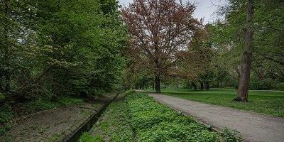 Bäkepark