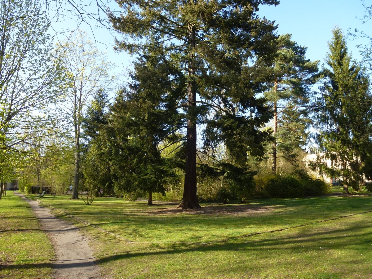 Baudenkmal: Siedlung "Freie Scholle"
