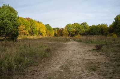 Baumberge