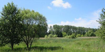 Bogenseekette und Lietzengrabenniederung