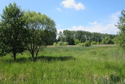 Bogenseekette und Lietzengrabenniederung